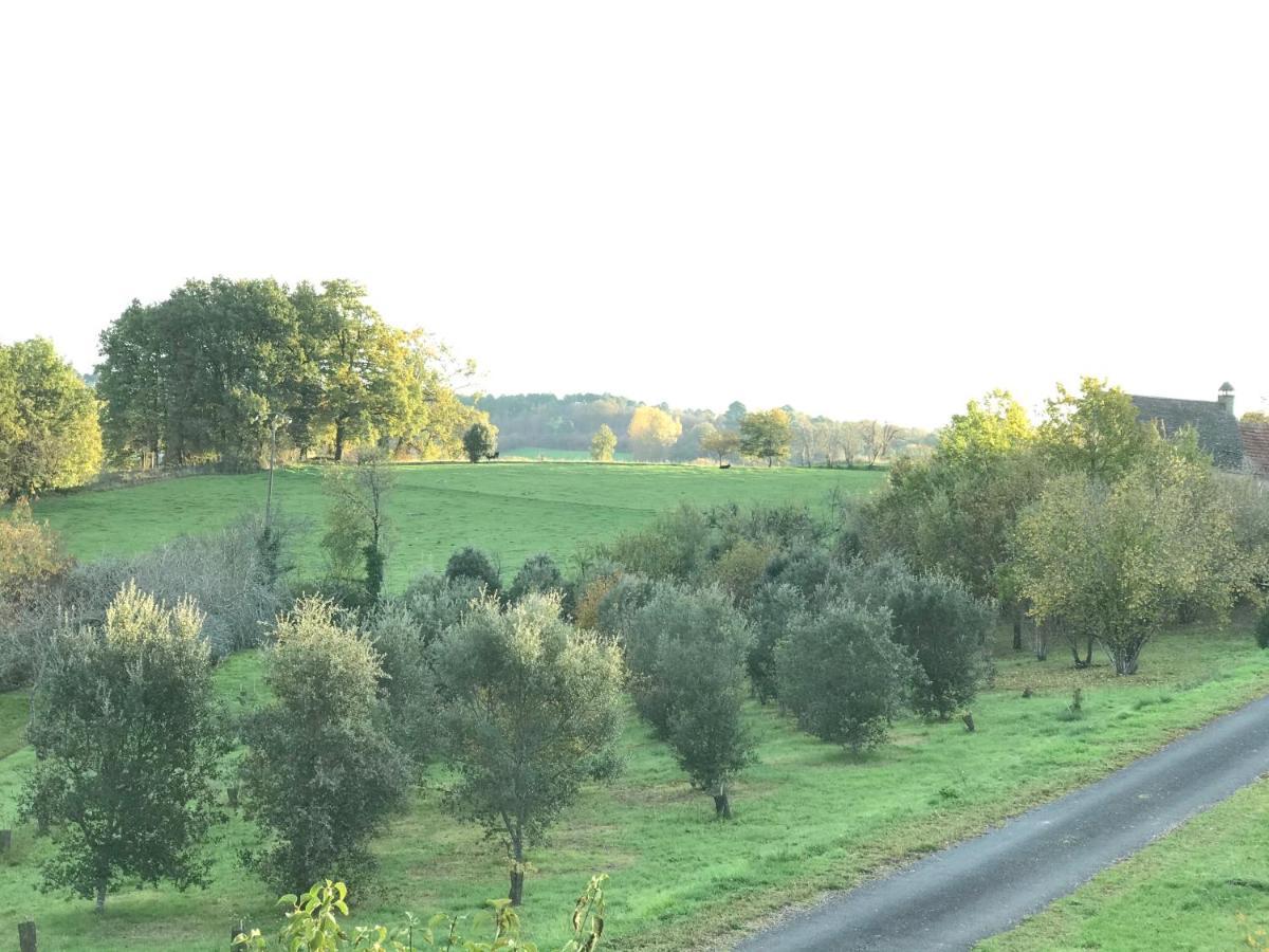 Les Cedres Du Linard, Chambres D'Hotes B&B Near Lascaux, Montignac, Sarlat-La-Caneda, Dordogne La Chapelle-Aubareil Exteriör bild
