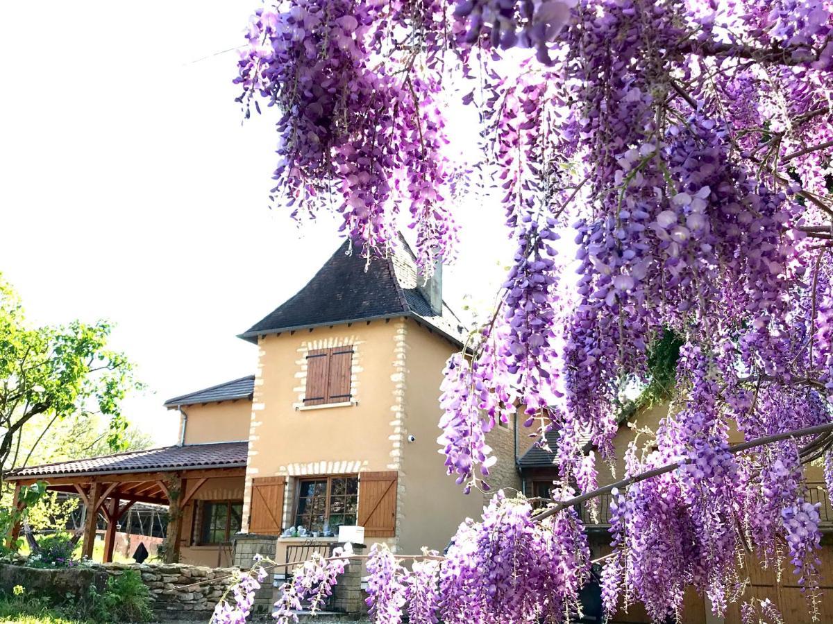 Les Cedres Du Linard, Chambres D'Hotes B&B Near Lascaux, Montignac, Sarlat-La-Caneda, Dordogne La Chapelle-Aubareil Exteriör bild