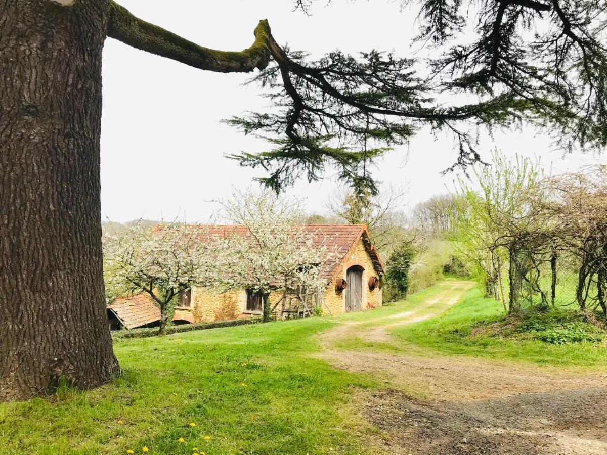 Les Cedres Du Linard, Chambres D'Hotes B&B Near Lascaux, Montignac, Sarlat-La-Caneda, Dordogne La Chapelle-Aubareil Exteriör bild