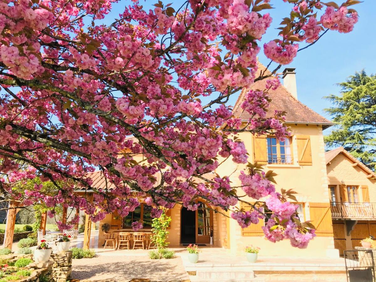 Les Cedres Du Linard, Chambres D'Hotes B&B Near Lascaux, Montignac, Sarlat-La-Caneda, Dordogne La Chapelle-Aubareil Exteriör bild